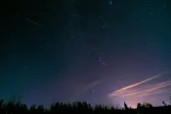 Silhouette of trees under starry night