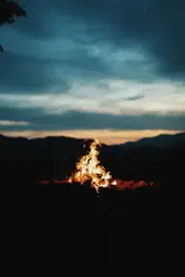 Photography of bonfire during nighttime