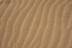 Grey dessert photograph