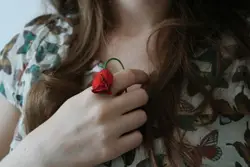 Withered rose of love