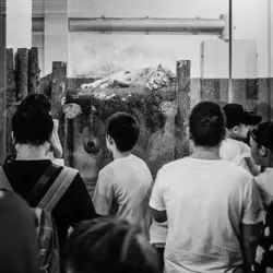 People looking at lion