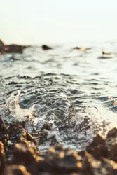 A crashing wave in the sunset