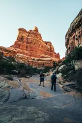 Friends in the desert
