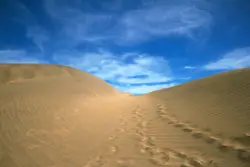 Dry Pathway