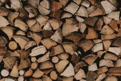 Brown and black firewood lot