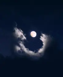 DREAMY NIGHT
