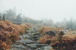Rocky path on a foggy day