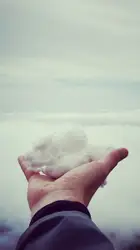 Shallow focus photography of man holding snow during da