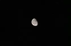 At night when the stars light up my room, I sit by myse
