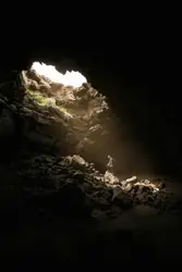 Rise