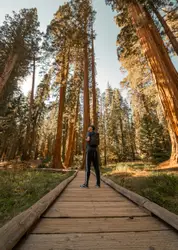 Sequoia trip 2019 with a couple of my buddies
