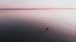 Blue sea