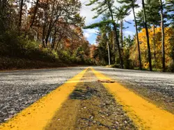Asphalt road in the autumn