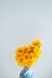 Yellow Flowers Blue Vase Minimalism