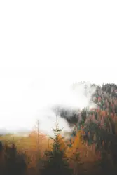 I took this photo on a hike in to the Rote Wand in Aust