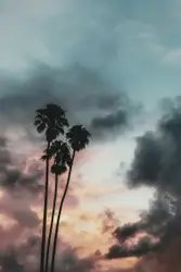 Storms Comin’