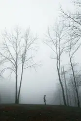 Person in a foggy forest