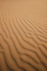 A sandy area with lines in the sand