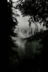 I will always remember this hike. For our honeymoon, my