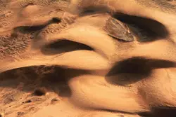 Brown sand formation