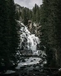 Waterfall between trees during daytime in timelapse pho