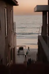 People on beach during daytime