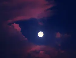 DREAMY ROMANCE