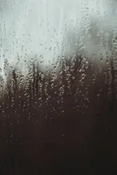 Water droplets on glass window