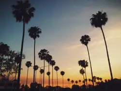Sunset in warm summer