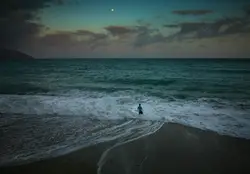 Wading