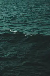 Sea waves