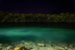 Body of water beside trees during nighttime