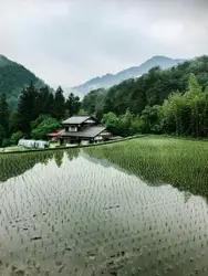 Body of water near house