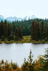 Lake with trees on sides