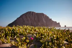 Morro rock