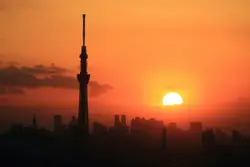 Silhouette of high rise building during sunset