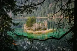 Lake With Trees And A Bench