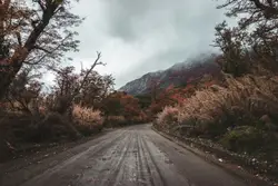 Road With Trees And A Road Sign