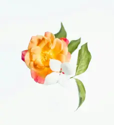 Flower In A Flower Pot With A Red Background