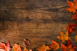 Wooden Fence With A Black And White Background