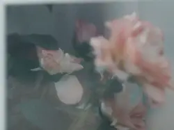 Pink and white flower painting