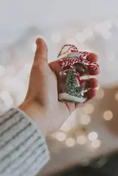 Person holding Christmas tree in jar giveaway