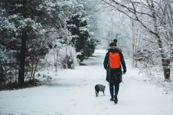 Person walking with dog in the middle of snowy forest