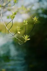 Tried to take those kinda pics i took when i first got 