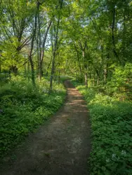 The Way