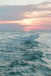 Water waves at daytime