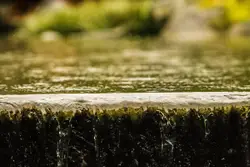 Kubota Spring