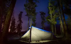 Gray and blue tent surrounded by trees during night
