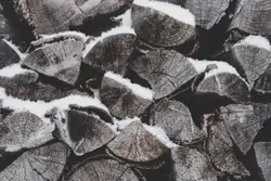 Closeup photo of firewood stack