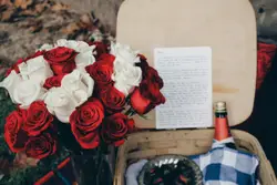 Picnic and Proposal